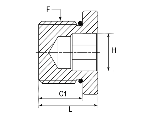 A drawing of DVSTI-UN hydraulic adaptor.